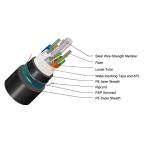 Glass Yarn Armored Fiber Optic Ethernet Cable GYFTY-FS RFP Central Strength