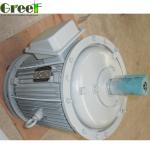 10kw 12kw 20kw 50kw 200kw Magnet Free Generator Alternative Energy Permanent