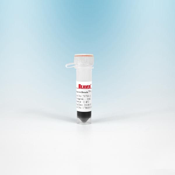 Buy cheap 10 ML BeaverBeads Magnetic Beads NHS 300 Nm For Cell Isolation With Higher Sensitivity from wholesalers