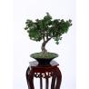 Buy cheap Hand Crafted Faux Indoor Pine Tree Minimal Care Beautiful Artificial Arrangement from wholesalers