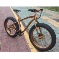 Buy cheap Private Label OEM 1000W 29 Inch Electric Mountain Bike product