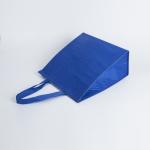 Fashion portable recyclable pp non woven cooler bag travelling insulated food
