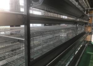 Wholesale Industrial Poultry Farm Feeding System  Comfortable Cage Poultry House from china suppliers