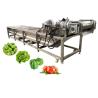 Buy cheap Double Tank Bubble Ozone Vegetable Mesh Chain Washing Machine for Machinery Repair Shops from wholesalers