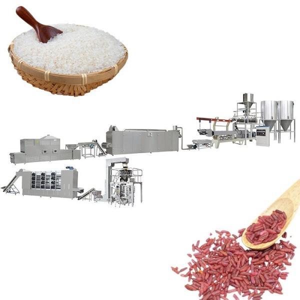 Buy cheap Stainless Steel 304 Artificial Rice Machine Automatic 1000kg/Hr Extruder from wholesalers