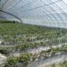 Buy cheap Arched Roof Hydroponic Greenhouse for Aquaculture and Vegetable Cultivation System from wholesalers