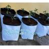 Buy cheap Planter Bags, Grow Bags, Cultivating Bags, Nursery Pot, Greenhouse, Agricultural Film, Horticulture Garden from wholesalers