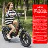 Buy cheap Ladies Lithium Battery Electric Bike 30km/H Variable Speed from wholesalers