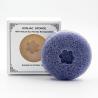 Buy cheap Activated Natural Face Cleansing Sponge Private Label Organic Konjac Fiber Sponge from wholesalers
