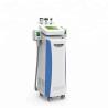 Buy cheap CE / FDA approved fat freeze,skin rejuvenation,wrinkle removal five handles cryolipolysis slimming machine from wholesalers