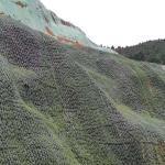 Polypropylene Geobag for Slope Protection and River Regulation on Barren