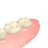 Buy cheap High Strength Invisible Denture Base Resin from wholesalers