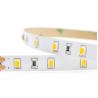 Buy cheap Best Led Strip Lights For Ceiling No Flicker, High CRI 95-99, IP40/IP65 Long Lifetime 12V/24VDC from wholesalers