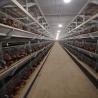 Buy cheap Automatic H Type Layer Chicken Cage Poultry Farming Laying Hens Cage from wholesalers