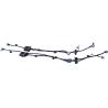 Buy cheap Waterproof Automotive Wire Harness Assembly For Lighting Cable PVC Copper Material from wholesalers