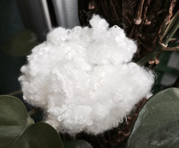 Bright White Hollow Conjugated Siliconized Polyester Fiber 7Den / 15Den Grade