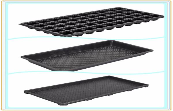 Buy cheap PP Nutrient Bowl Plug Seed Starting Plastic Germination Trays With Drain Holes from wholesalers