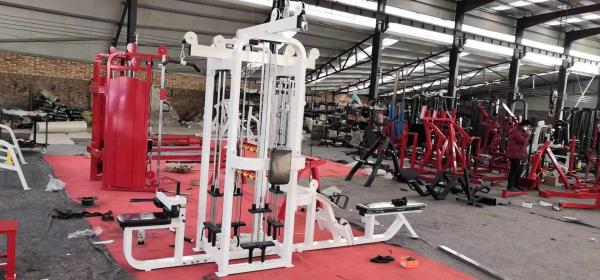 Buy cheap Peccer strenth machine commercial machine from wholesalers