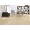 Buy cheap Beige Porcelain Stoneware Tile / Living Room Ceramic Matt Beige Wall Tiles Sizes 600*600 from wholesalers