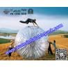 Buy cheap Sport Body Zorbing Bubble Ball For Playing , Inflatable Grass Zorb Ball from wholesalers