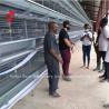Buy cheap Layer Cage Automatic Poultry Farming Cage System Popular High Quality Egg Layer Cages Rose from wholesalers