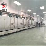 400kg Per Hour Fruit Dehydrator Machine Dehydrator Belt Vegetable Dryer Machine