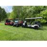 Buy cheap Lithium Electric Golf Carts Customized Manufacture Off Road Street Legal from wholesalers