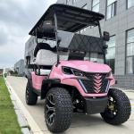 Electric Golf Cart With Canopy 60v 100ah Lead Acid Battery Front Bumper And