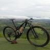 Buy cheap 29Inch Adults Carbon Fiber Complete Bikes Dual Suspension Mountain Bicycles from wholesalers