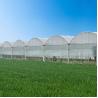 Buy cheap Agricultural Vegetable Green House Multi-span Tomato Greenhouse For Fruits Flower from wholesalers