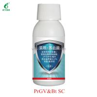 Buy cheap Insecticide Bio Bacillus Thuringiensis for Cotton Tobacco Chili Plant Pests SC product