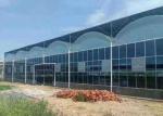 Buy cheap Intelligent Agricultural Greenhouse Steel Frame For Vegetables Garden Tomato from wholesalers