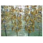 High Depositing Speed Glassware Glass Crystal PVD Vacuum Coating Machine For