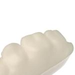 Temperature Responsive Dental Model Resin For Temporomandibular Joint Therapy