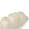Buy cheap Temperature Responsive Dental Model Resin For Temporomandibular Joint Therapy from wholesalers