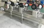 Raw Fruit Puree Production Line 10 Tons Per Hour