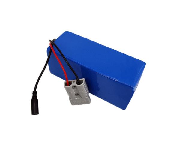 Lightweight and Long-lasting 24V 30Ah E Bike Battery Pack with NMC Cells for