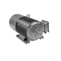 Buy cheap IP55 Ultra High Efficiency Electric Motor , YE4 Series 3 Phase Induction Motor product