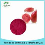 Natural Fruit Extract Nopal Cactus Fruit Dehydrated Powder for Food