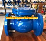 BS5153 cast iron swing check valve
