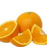 Buy cheap Automatic Citrus Processing Machine For Fruit Juice from wholesalers