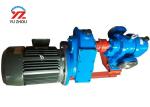 Electric Motor Gear Oil Transfer Pump With Heat Insulation Jacket LC/LCW Series