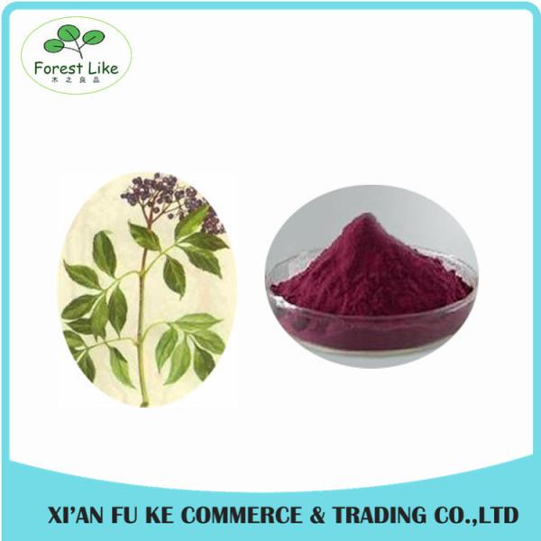 Buy cheap 100% Natural Elderberry Extract Powder 10:1 20:1 from wholesalers
