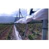 Buy cheap Grape Frame Agriculture Polyester Wire 12 Gauge Monofilament Wire from wholesalers