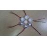 Buy cheap 20mm 1.7MHZ Piezo Ultrasonic Welding Transducer from wholesalers