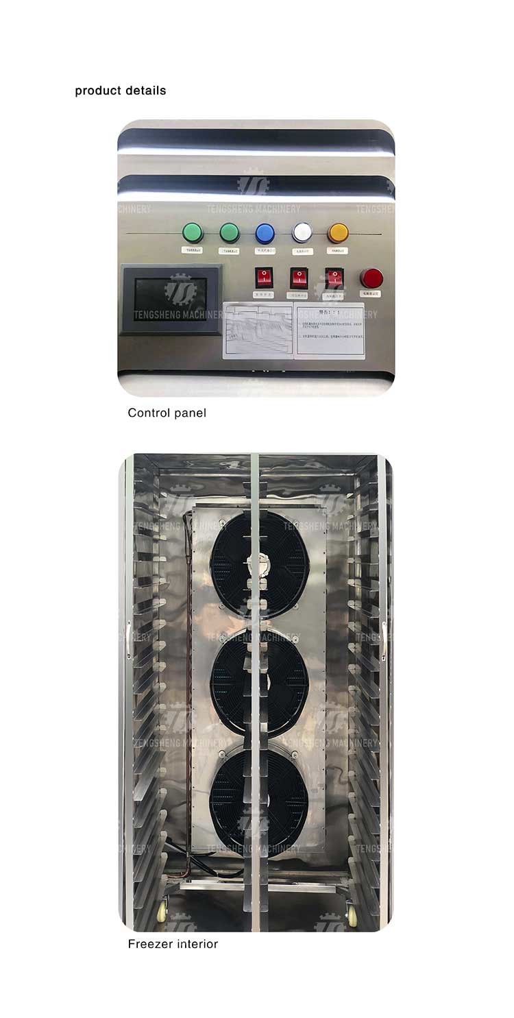 Commercial Seafood Blast Freezer Equipments for Fish in Malaysia
