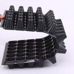 72 Cells 120G Thickness Nursery Plug Trays Black Plastic Pvc for Agriculture