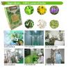 Buy cheap Herbal gout treatment Chinese gout relief tea teabag podagra big toe medication uric acid balance gout foot remedies from wholesalers