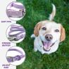 Buy cheap Amazon hot sale anti-fouling and waterproof PVC dog collar and leash set for pets walking outdoors from wholesalers