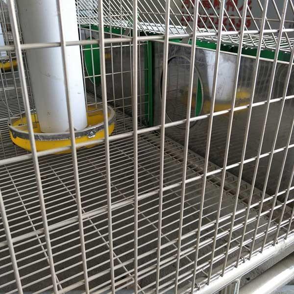 Buy cheap Hot Dipped Galvanized 24 Cells Farm Rabbit Cage With Automatic Cleaning System from wholesalers